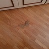 Levigare e Verniciare Parquet (Parziale)