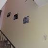 Insonorizzare Casa