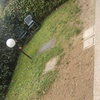 Progetto giardino
