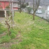 Manutenzione Giardino