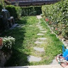 Manutenzione Giardino