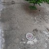 Pavimentare e Piastrellare