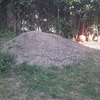 Manutenzione Giardino