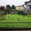 Piantare Giardino