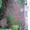 Piantare Giardino