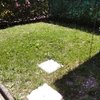 Manutenzione Giardino