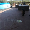 Pavimentare e Piastrellare