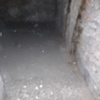 Pulizia Guano Piccioni