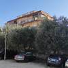 Potare O Tagliare Alberi