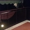 Realizzare Veranda In Alluminio