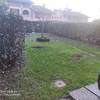 Manutenzione Giardino