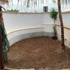 Piscina ovale