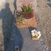 Fornitura e posa di un monumento funebre presso il cimitero di segrate (mi)