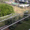 Giardino In Erba Sintetica