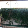 Installazione tende in pvc antivento e pioggia