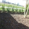 Pavimentazione giardino