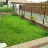 Piantumazione giardino 20 mq