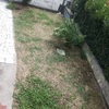Ripristinare il giardino