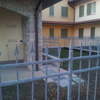Posa di prato resistente