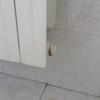 Bagno lavori di idraulica e caloriferi casa