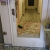 Vetro anni '50 craquelé per porta interna