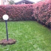 Pavimentazione giardino