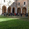 Posa nuovo prato