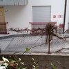Installazione paletti a t giardino