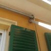 Sostituire telo