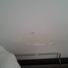 Riparare letto in ecopelle