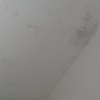 Muffa diffusa in bagno