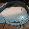 Ristrutturazione Piscina