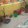 Rifacimento terrazzo