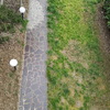 Installare irrigazione interrata
