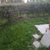 Ristrutturazione giardino a trezzano sul naviglio