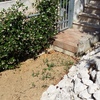 Creazione impianto di irrigazione interrato per giardino, con eventuali camminamenti