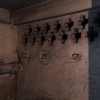 Risistemazione cantina