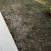 Bonifica giardino