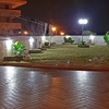 Piantare Giardino