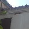 Ristrutturazione tetto e facciata casa singola (pagamento a rate)