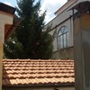 Tagliare un albero