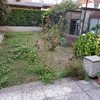 Manutenzione Giardino