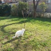 Manutenzione Giardino