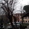 Manutenzione Giardino