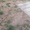 Piantare Giardino