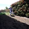 Manutenzione Giardino