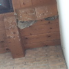 Disinfestazione da vespe