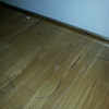 Levigare E Verniciare Parquet