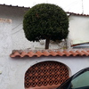 Dipingere Interno Casa