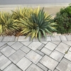 Pavimentare e Piastrellare